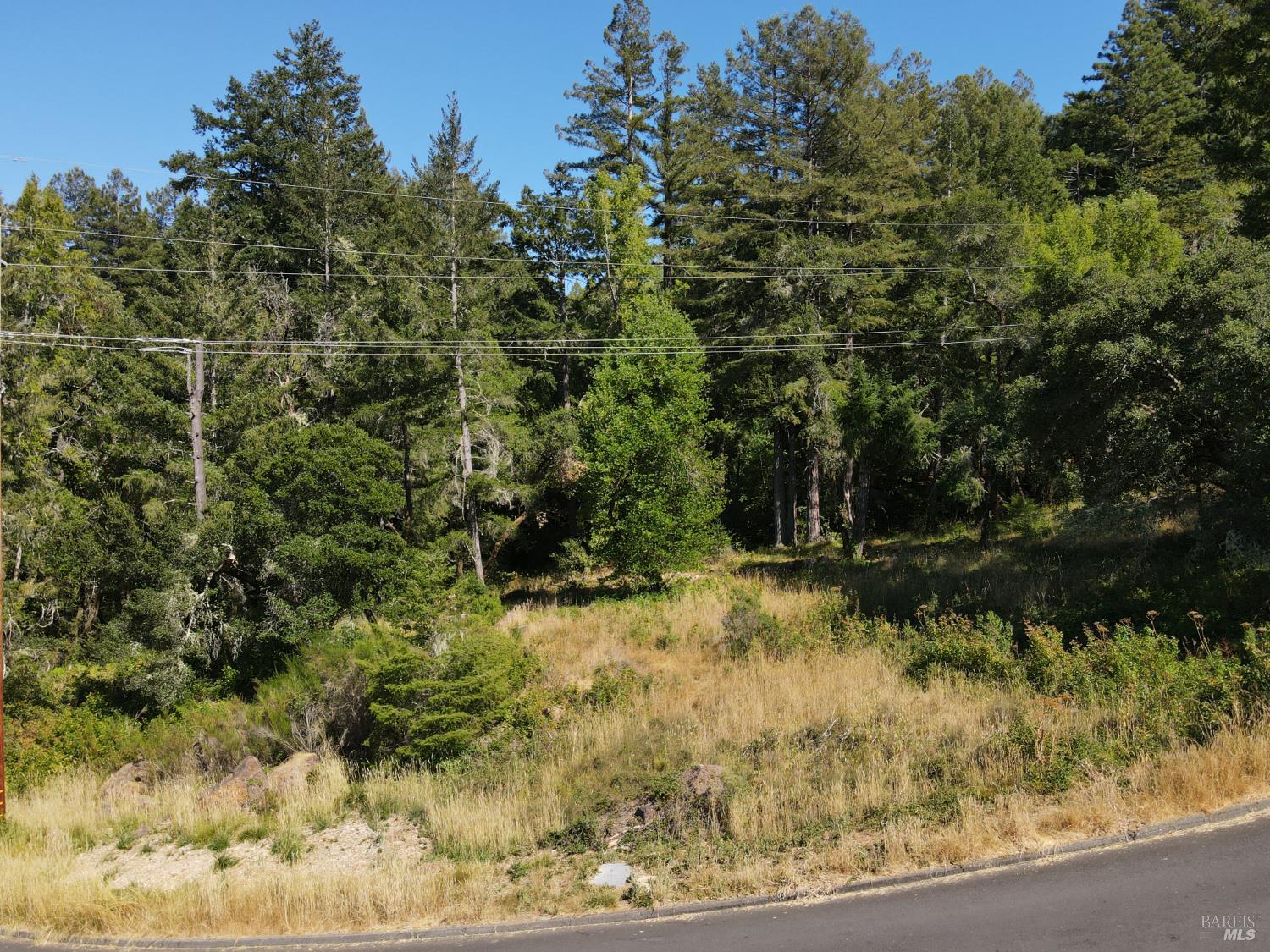 1 Meadow View Lane San Geronimo CA 94963
