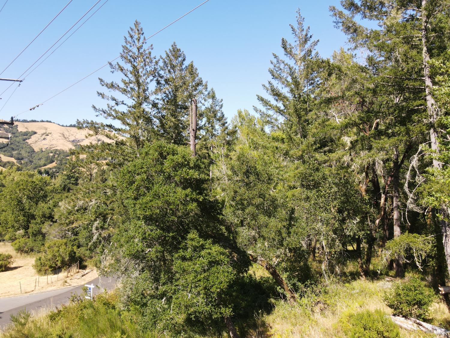 1 Meadow View Lane San Geronimo CA 94963