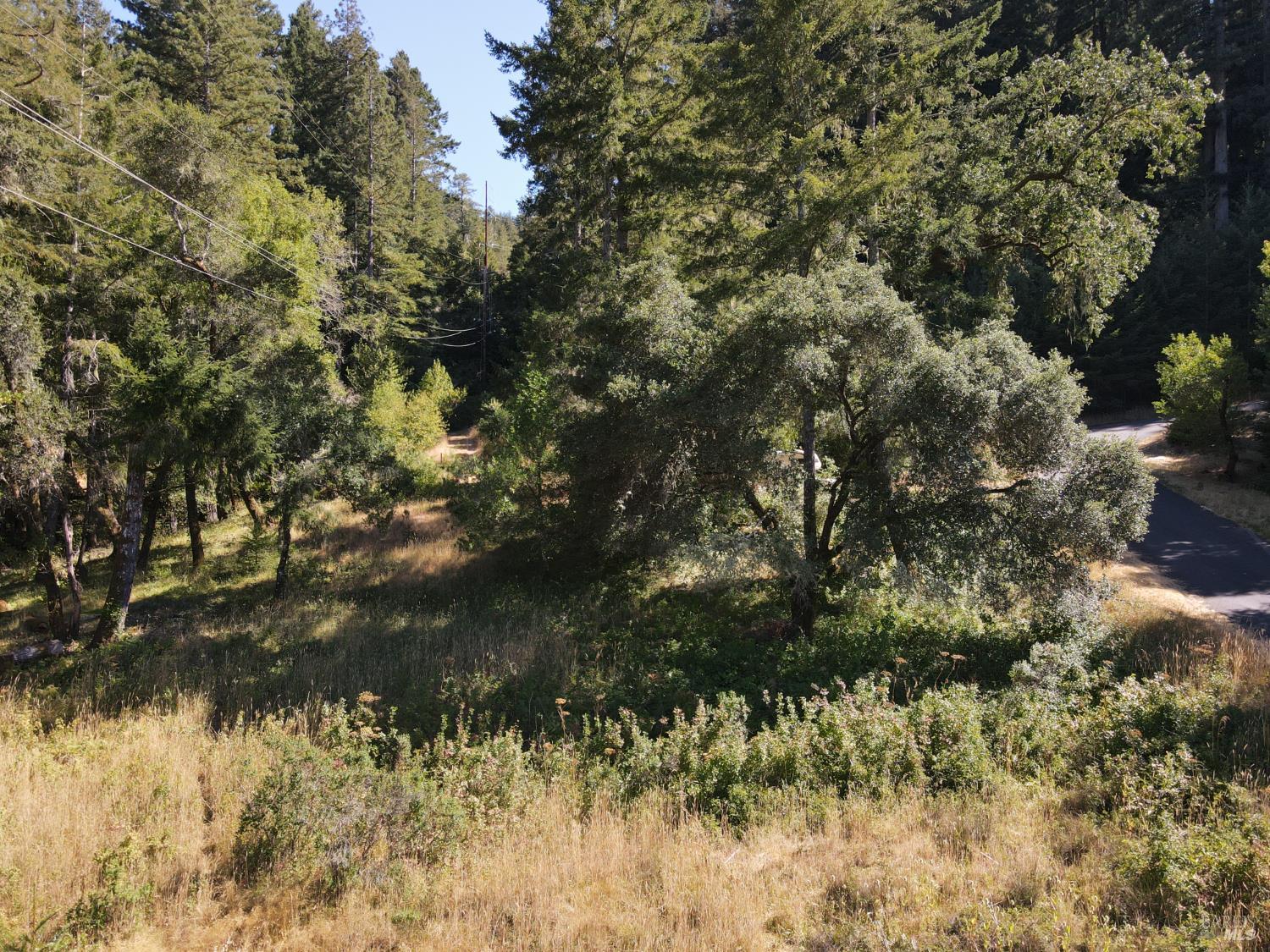 1 Meadow View Lane San Geronimo CA 94963