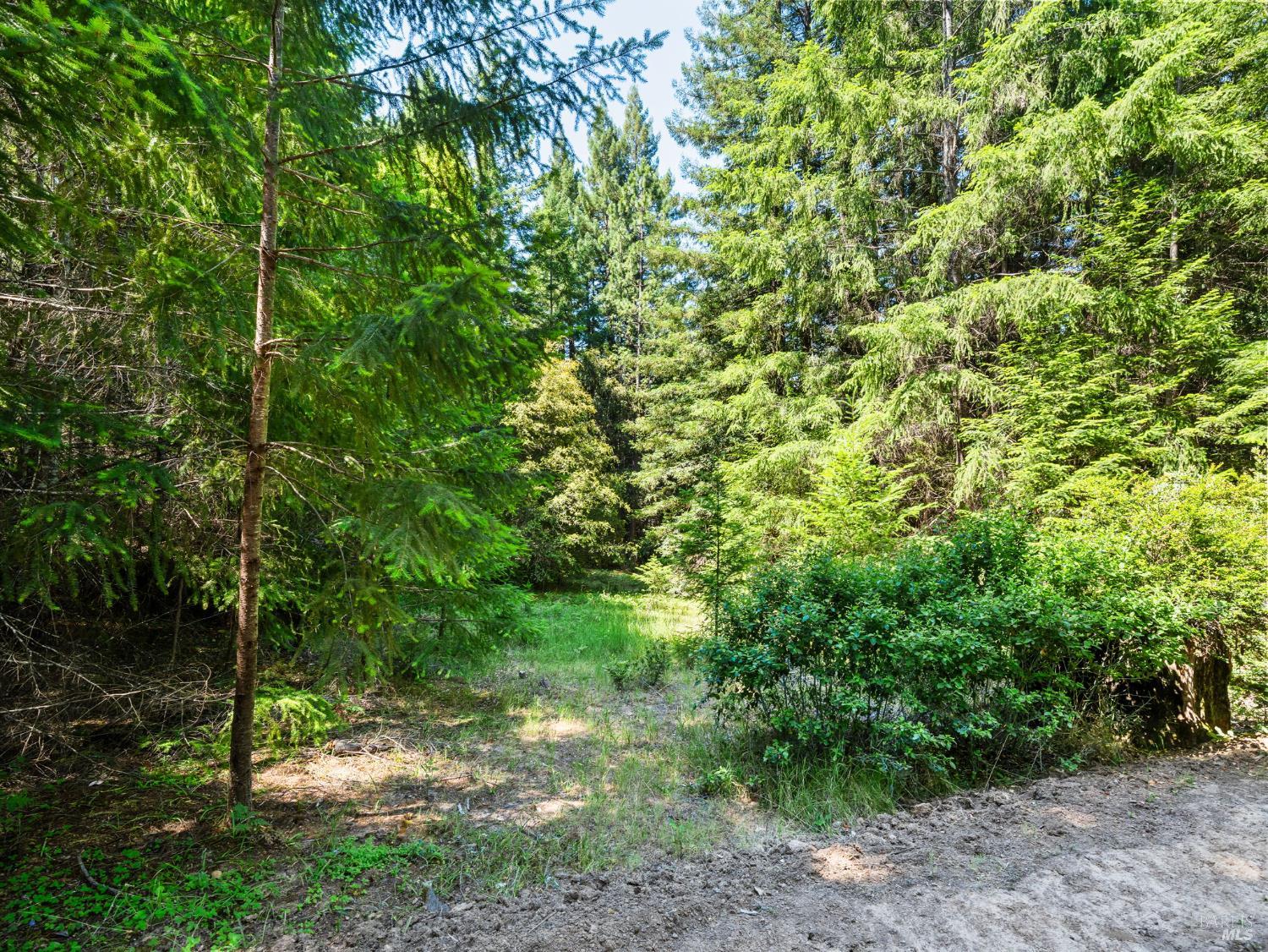 0 Panorama Way Philo CA 95466