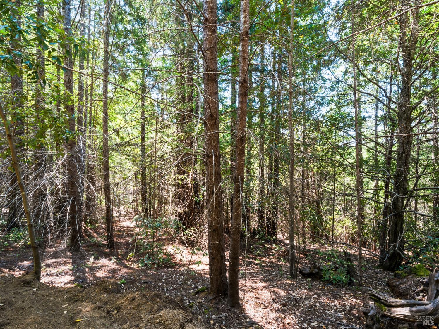 0 Panorama Way Philo CA 95466