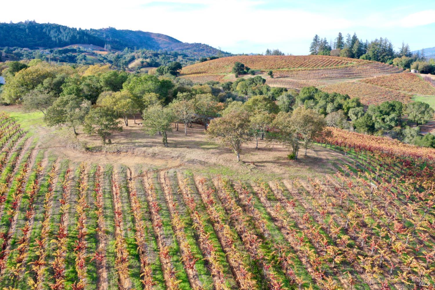 6225 W Dry Creek Road Healdsburg CA 95448