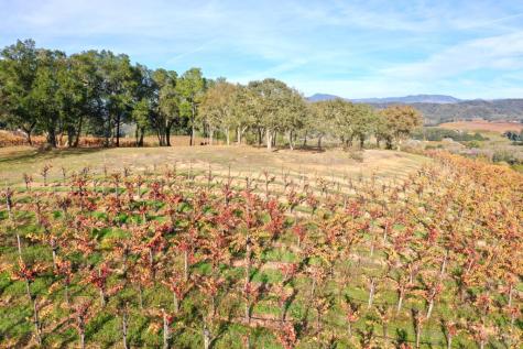 6225 W Dry Creek Road Healdsburg CA 95448