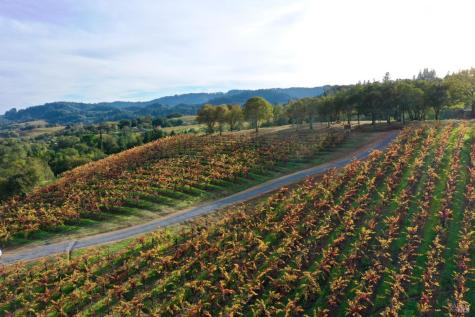 6225 W Dry Creek Road Healdsburg CA 95448