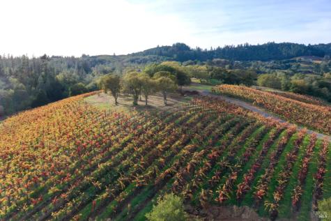 6225 W Dry Creek Road Healdsburg CA 95448