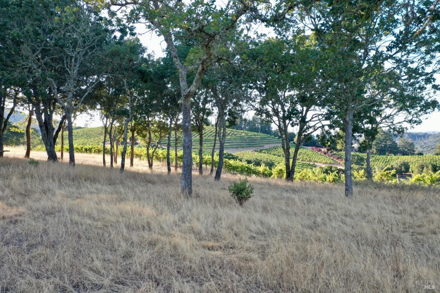 6225 W Dry Creek Road Healdsburg CA 95448