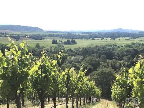 6225 W Dry Creek Road Healdsburg CA 95448