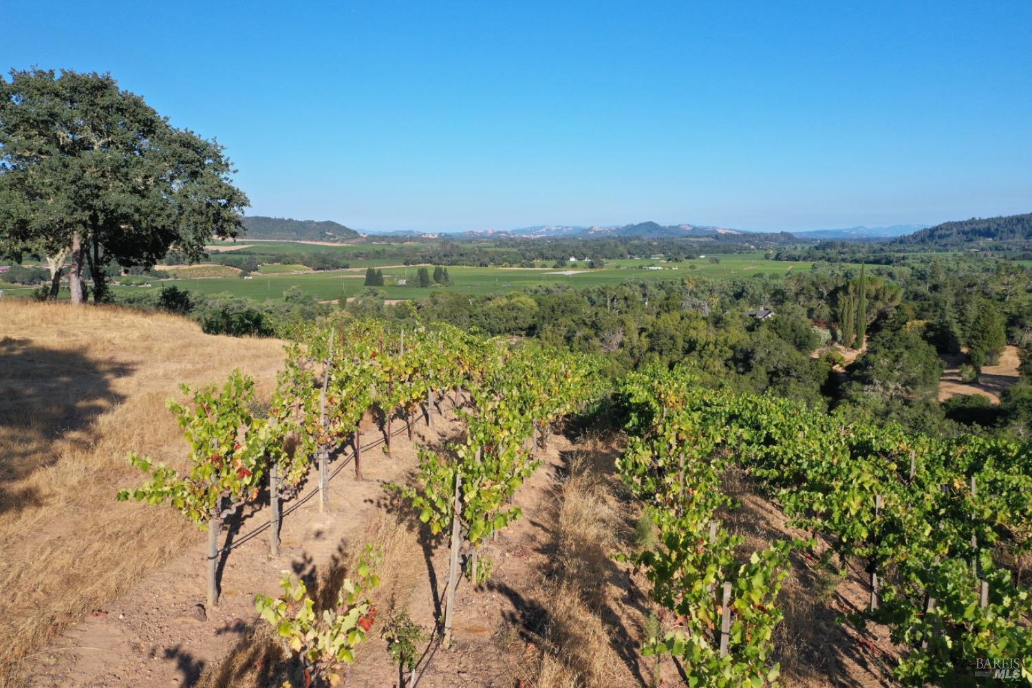 6225 W Dry Creek Road Healdsburg CA 95448