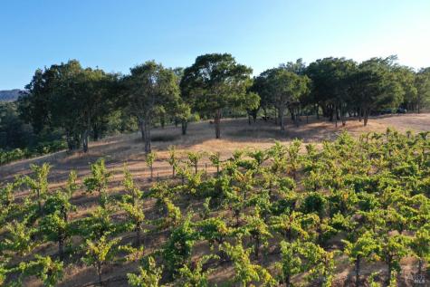 6225 W Dry Creek Road Healdsburg CA 95448