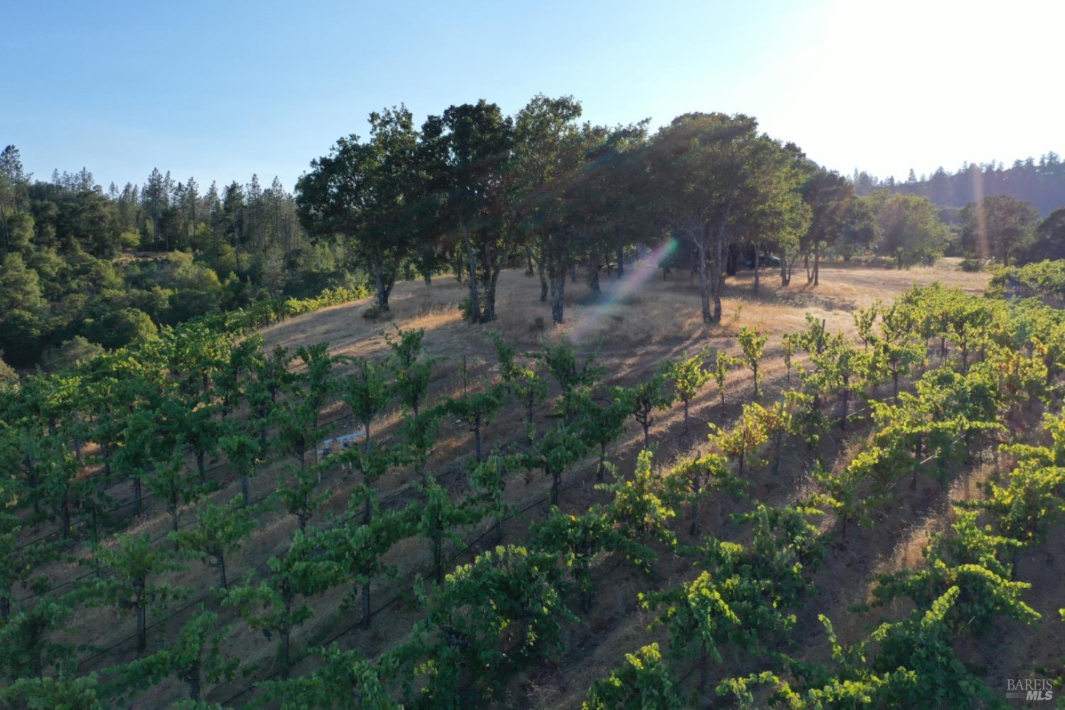 6225 W Dry Creek Road Healdsburg CA 95448