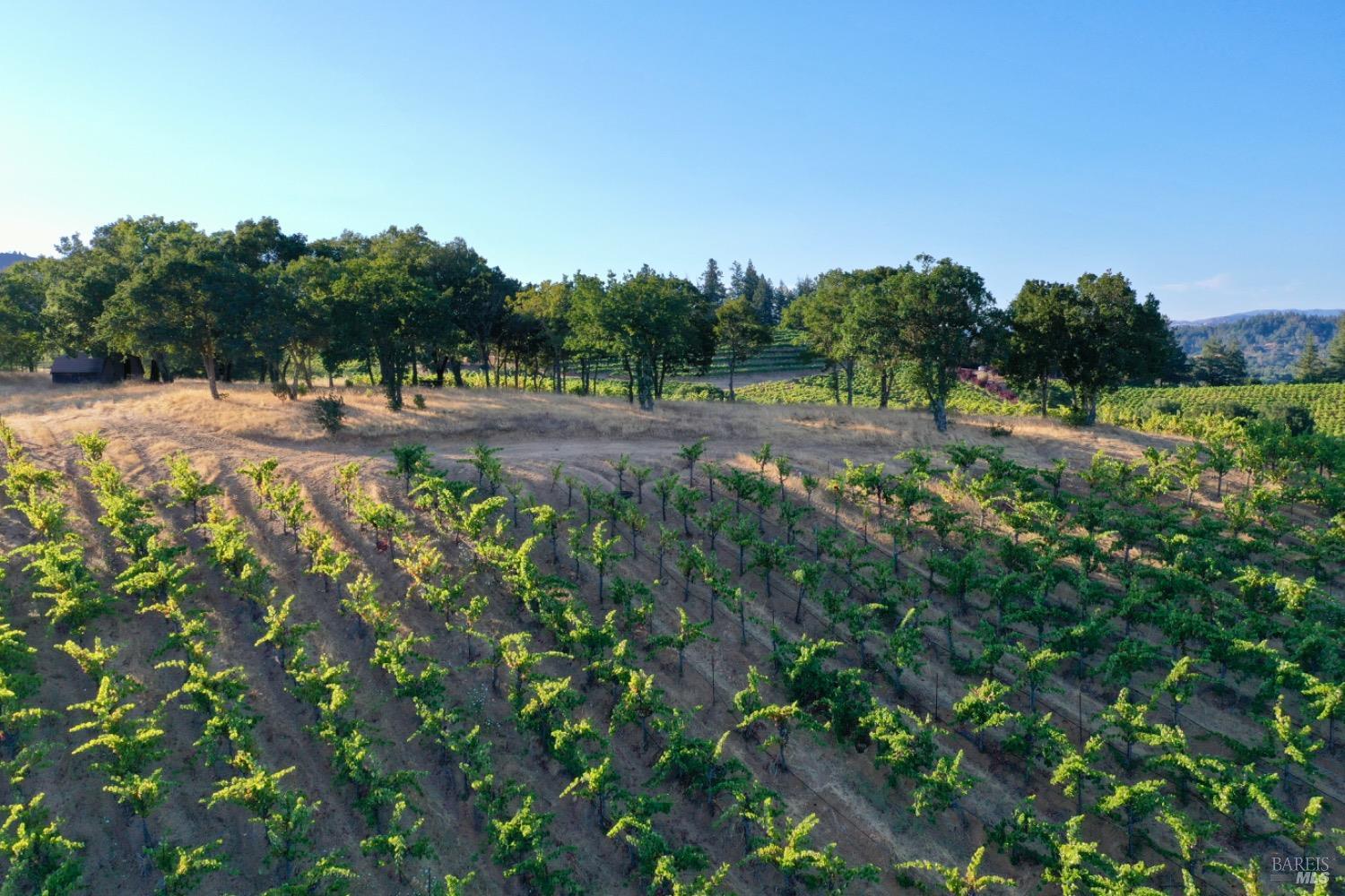6225 W Dry Creek Road Healdsburg CA 95448