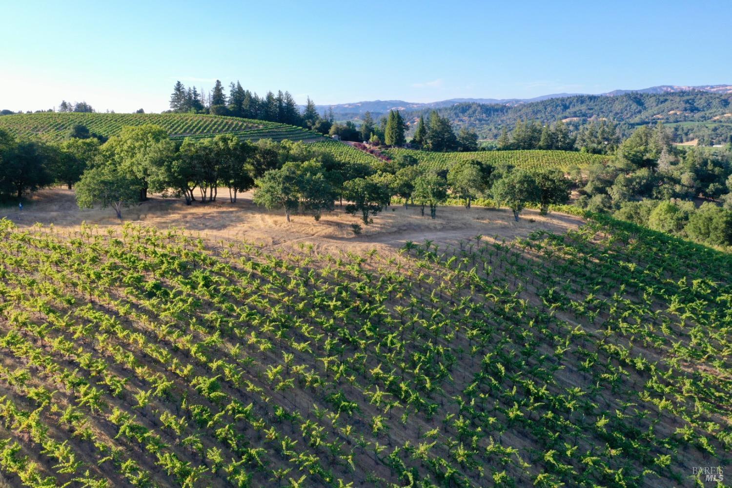 6225 W Dry Creek Road Healdsburg CA 95448
