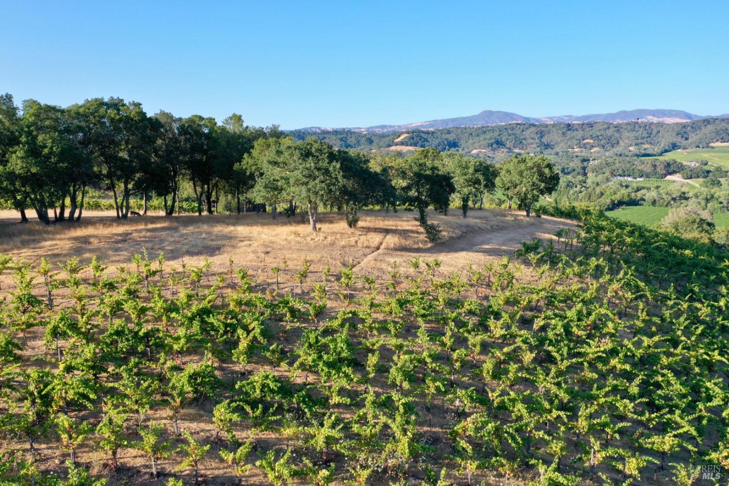 6225 W Dry Creek Road Healdsburg CA 95448