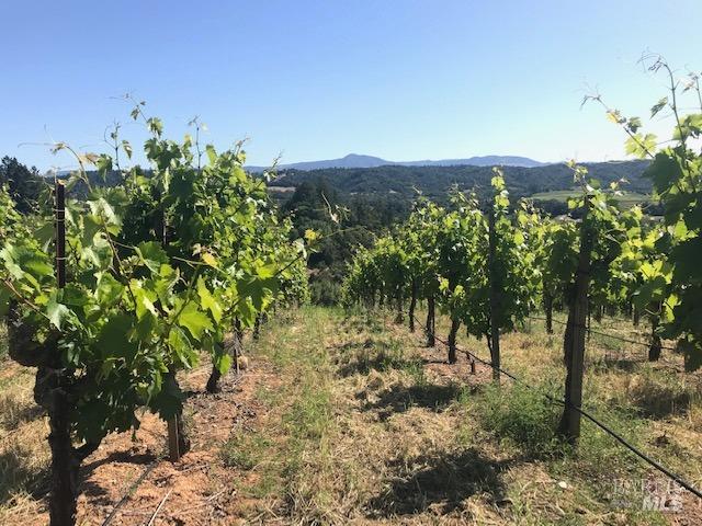 6225 W Dry Creek Road Healdsburg CA 95448