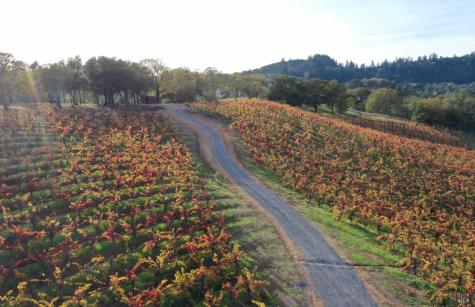 6225 W Dry Creek Road Healdsburg CA 95448