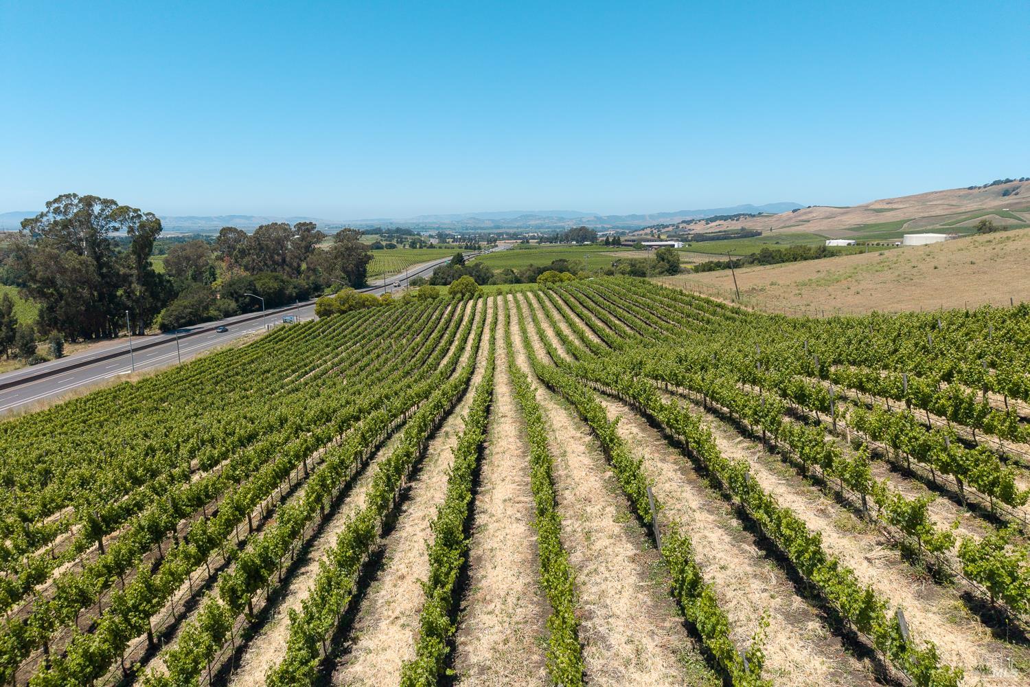 3800 Jameson Canyon Road Napa CA 94558