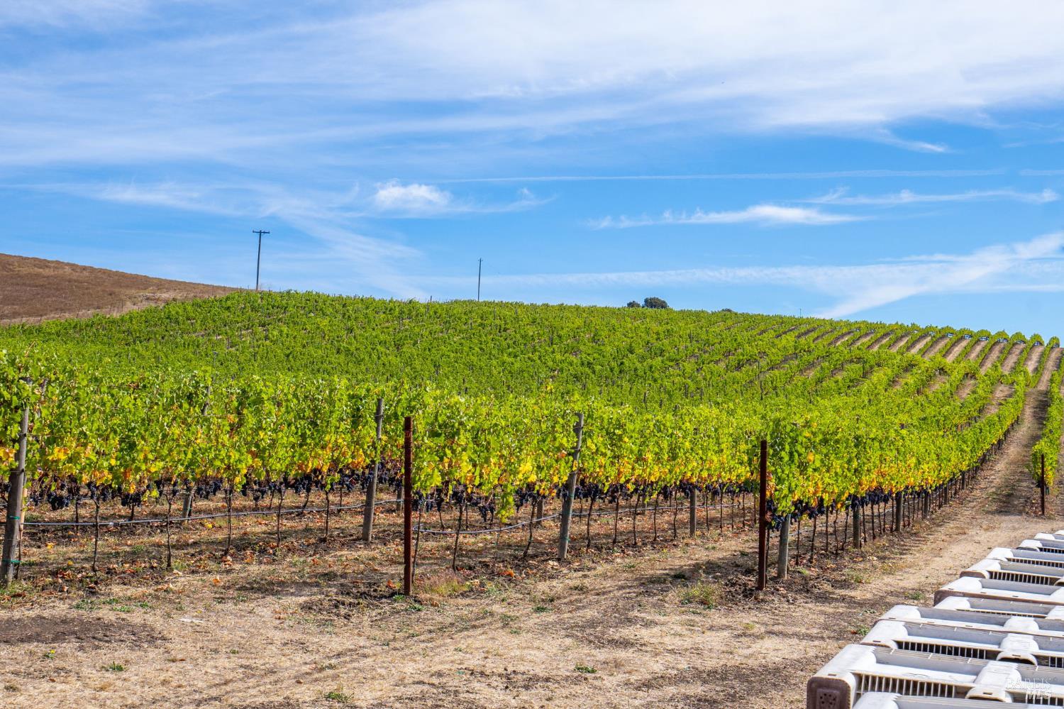 3800 Jameson Canyon Road Napa CA 94558