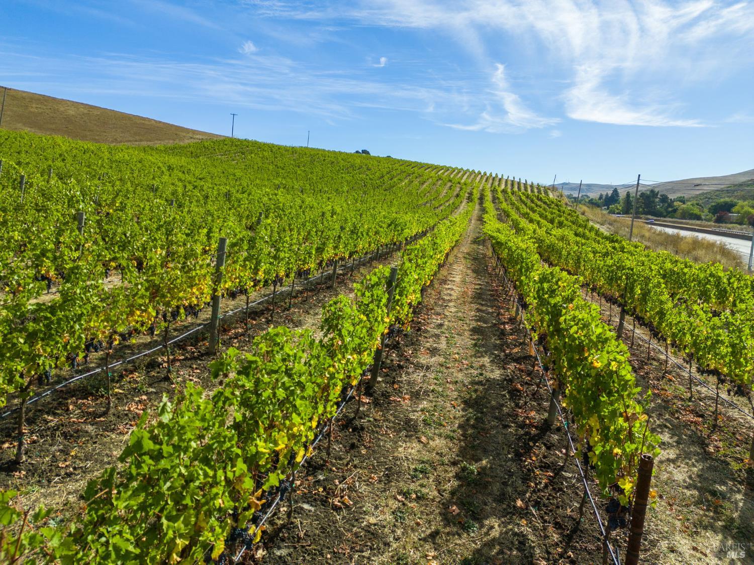 3800 Jameson Canyon Road Napa CA 94558