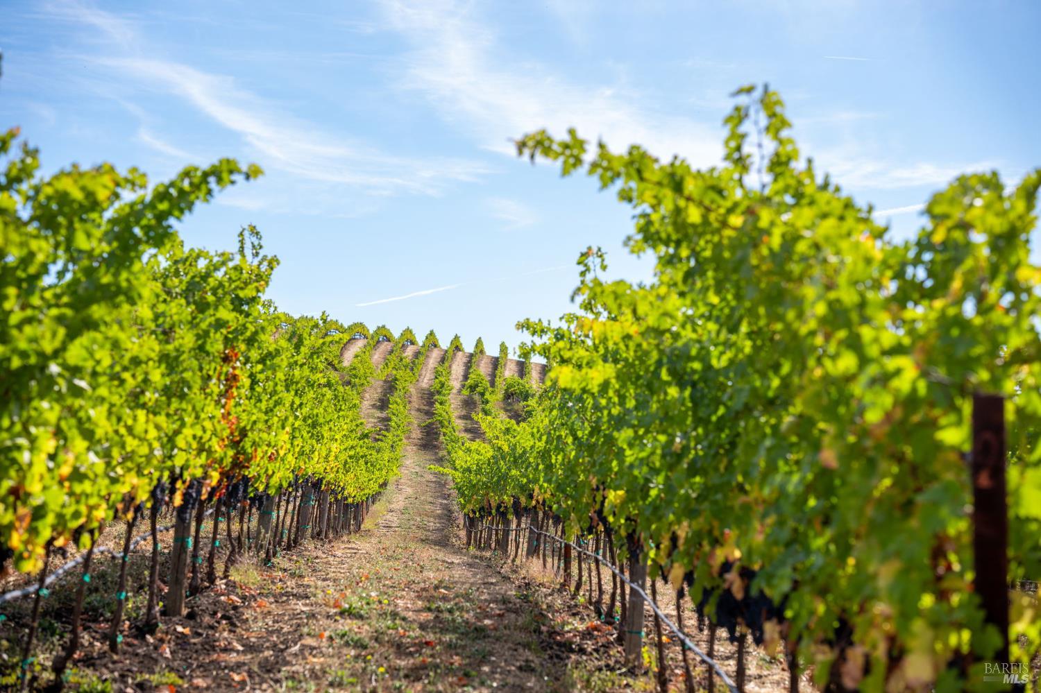 3800 Jameson Canyon Road Napa CA 94558