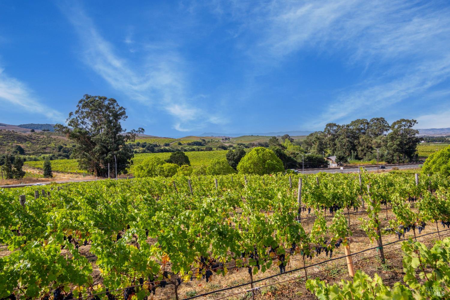 3800 Jameson Canyon Road Napa CA 94558