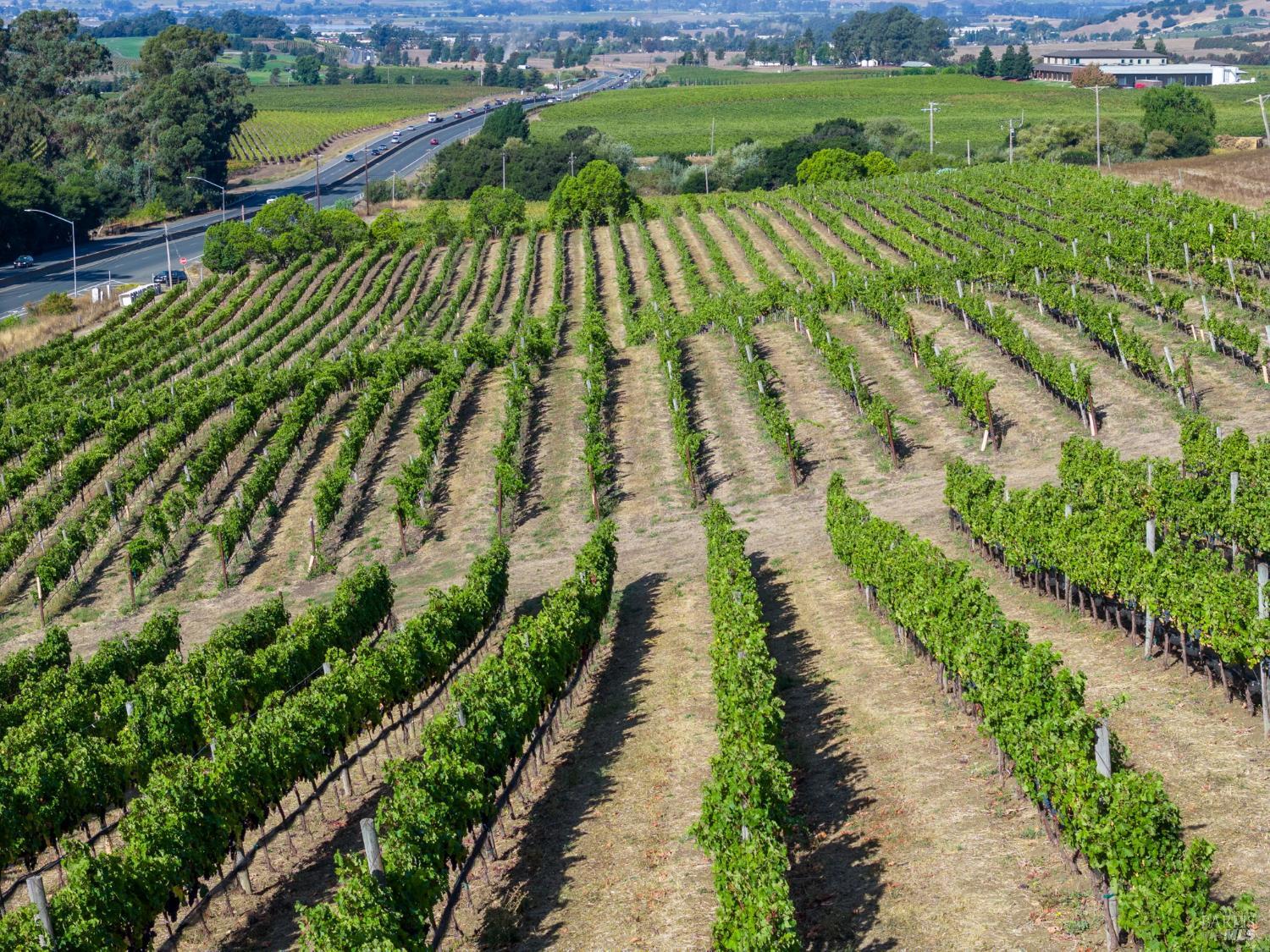 3800 Jameson Canyon Road Napa CA 94558