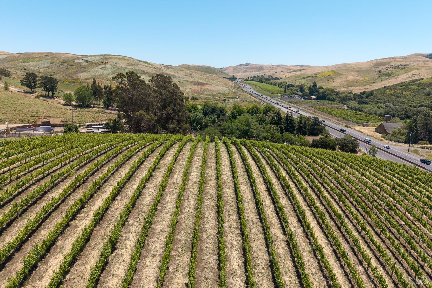 3800 Jameson Canyon Road Napa CA 94558