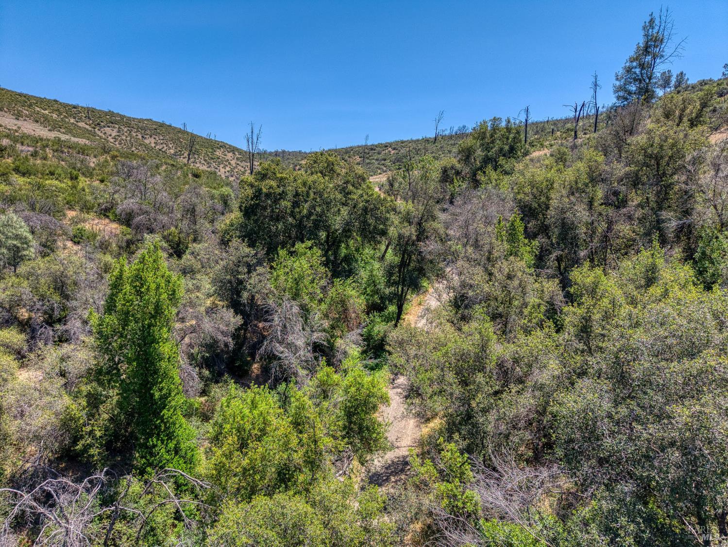 2065 Stagecoach Canyon Road Pope Valley CA 94567