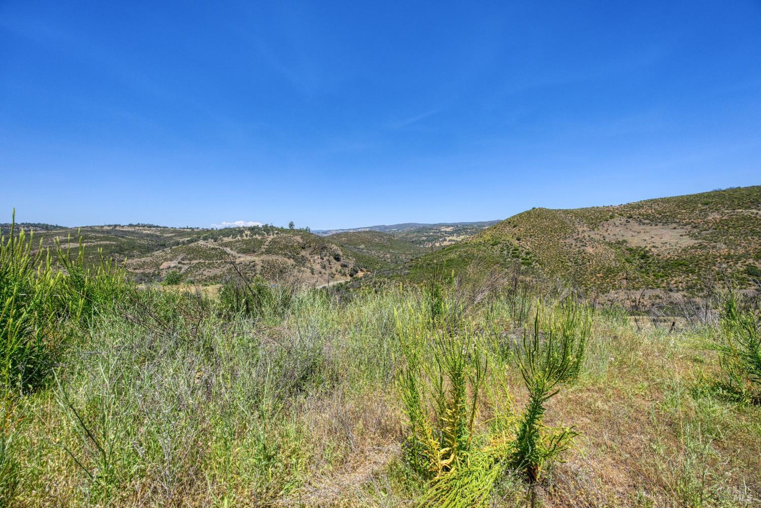 2065 Stagecoach Canyon Road Pope Valley CA 94567