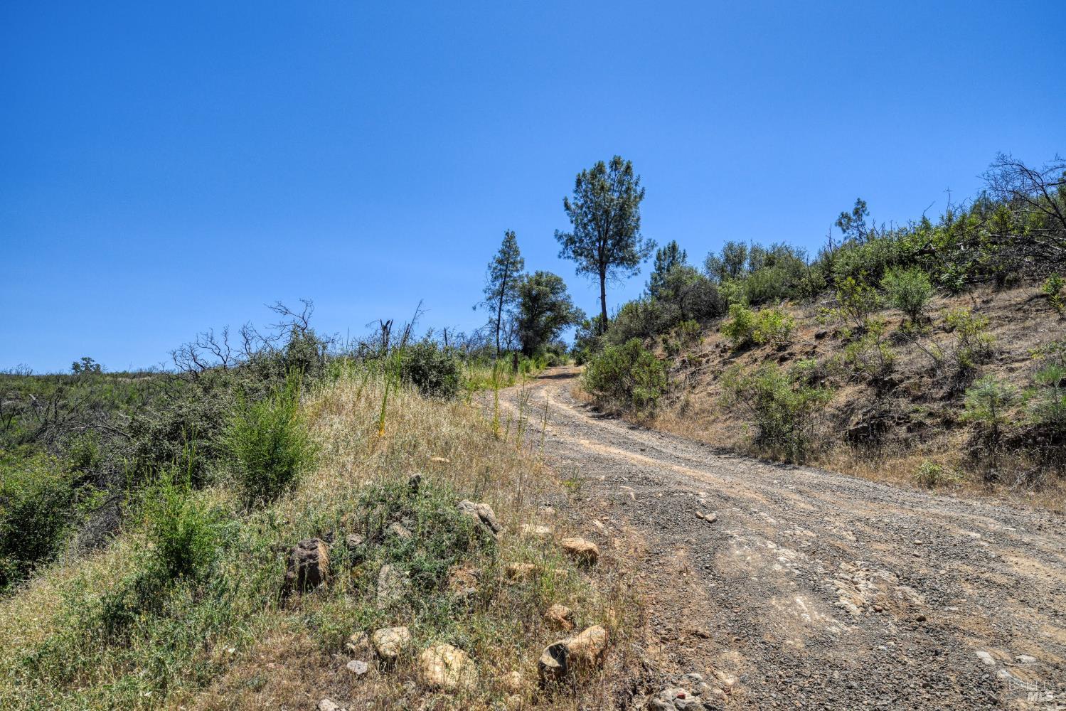 2065 Stagecoach Canyon Road Pope Valley CA 94567