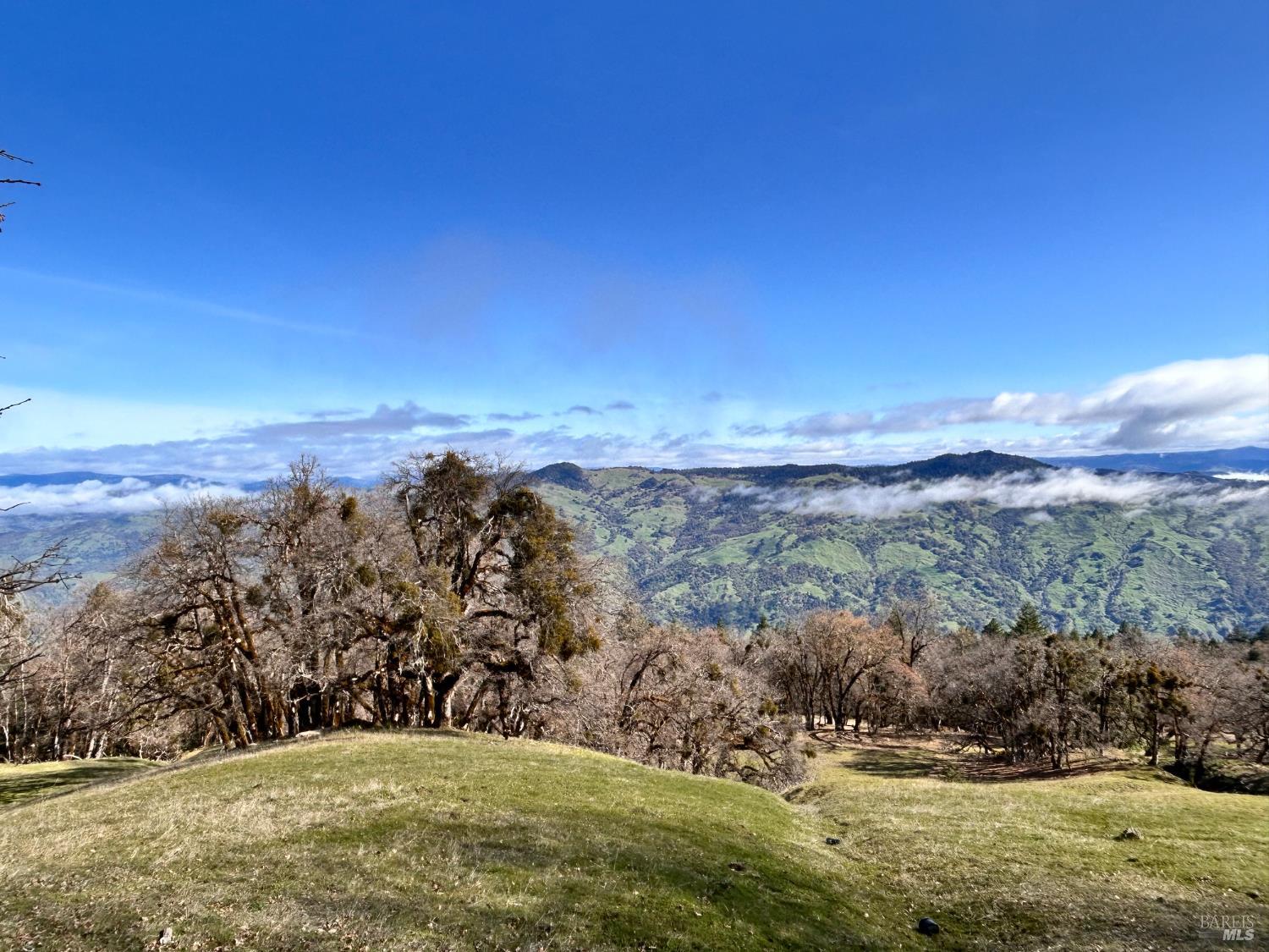 74000 Island Mountain Road Laytonville CA 95454