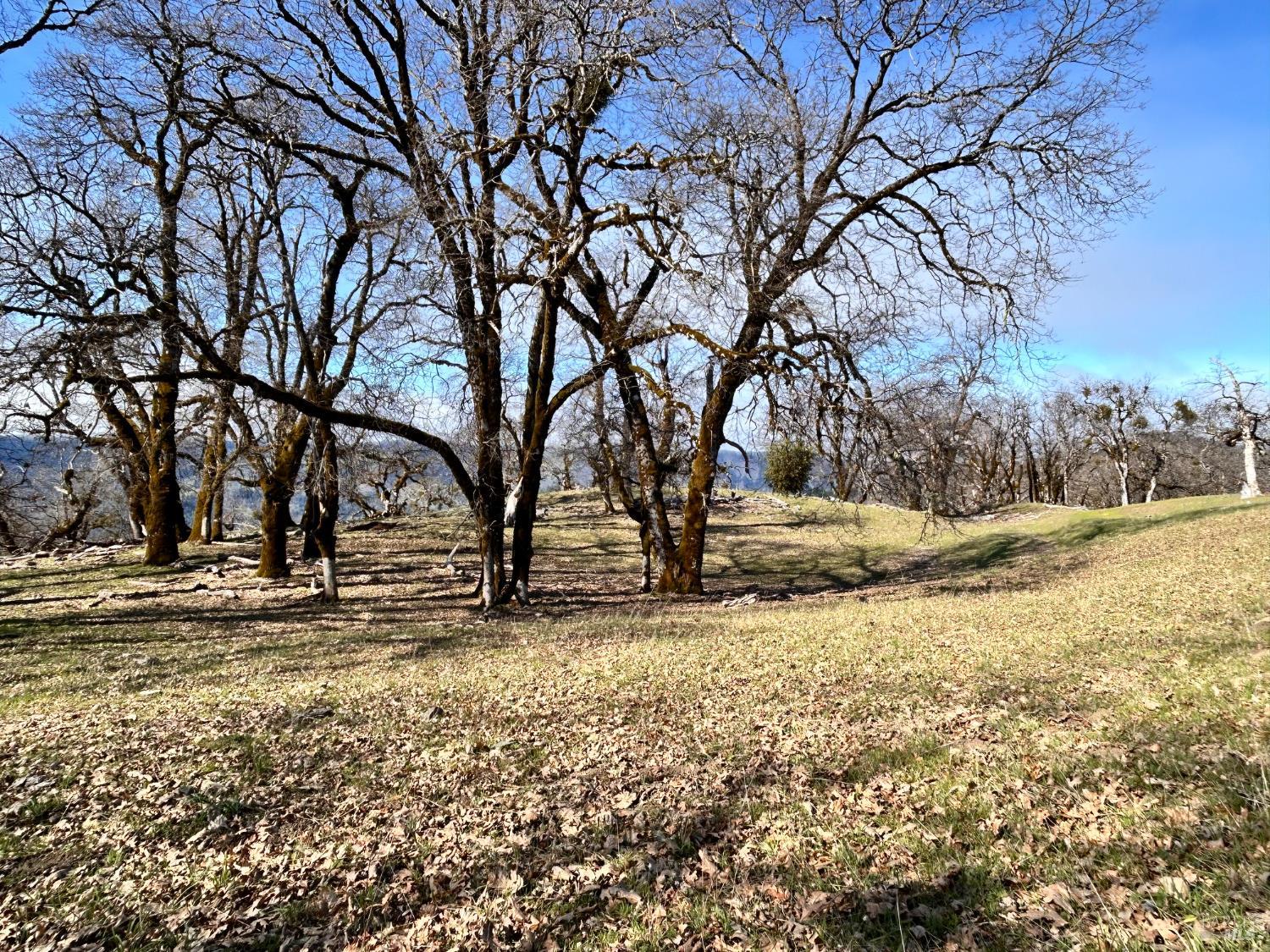 74000 Island Mountain Road Laytonville CA 95454