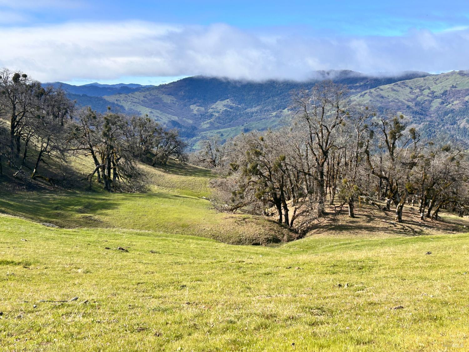 74000 Island Mountain Road Laytonville CA 95454