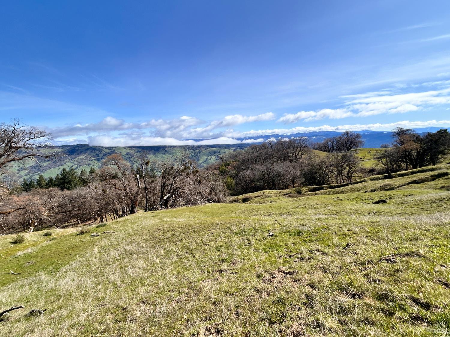 74000 Island Mountain Road Laytonville CA 95454