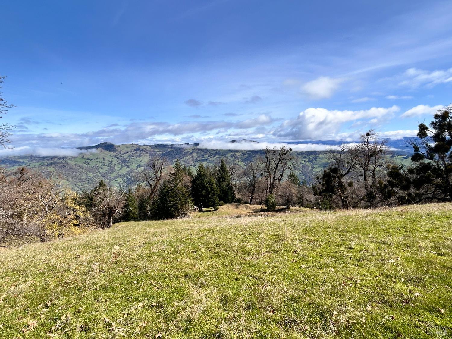 74000 Island Mountain Road Laytonville CA 95454