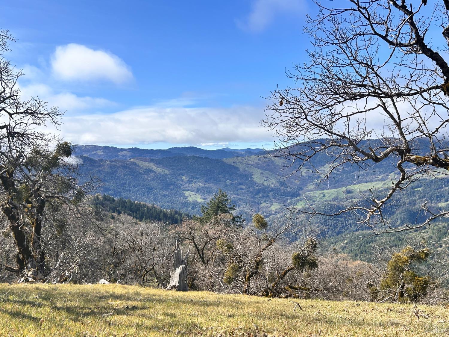74000 Island Mountain Road Laytonville CA 95454