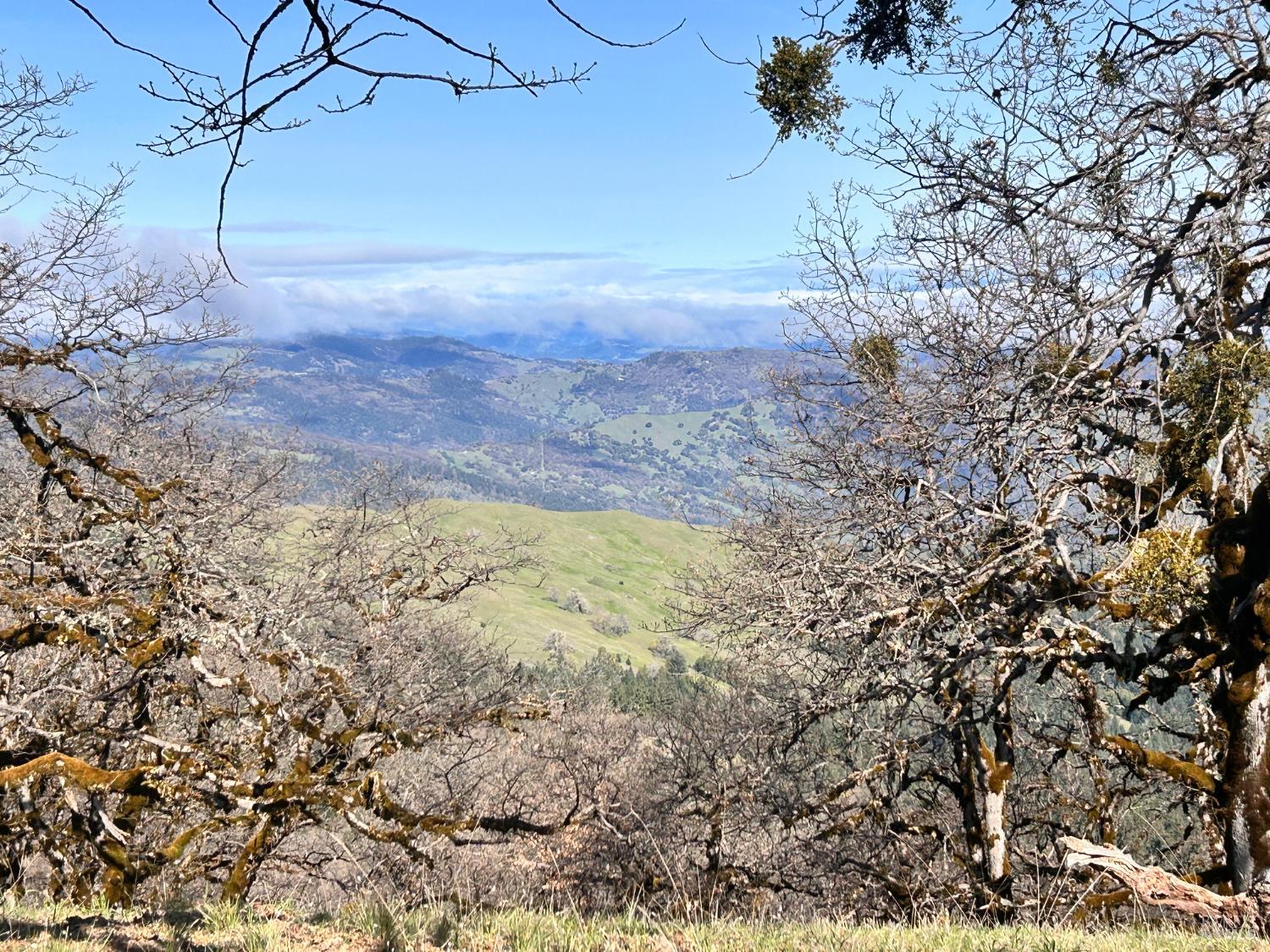 74000 Island Mountain Road Laytonville CA 95454