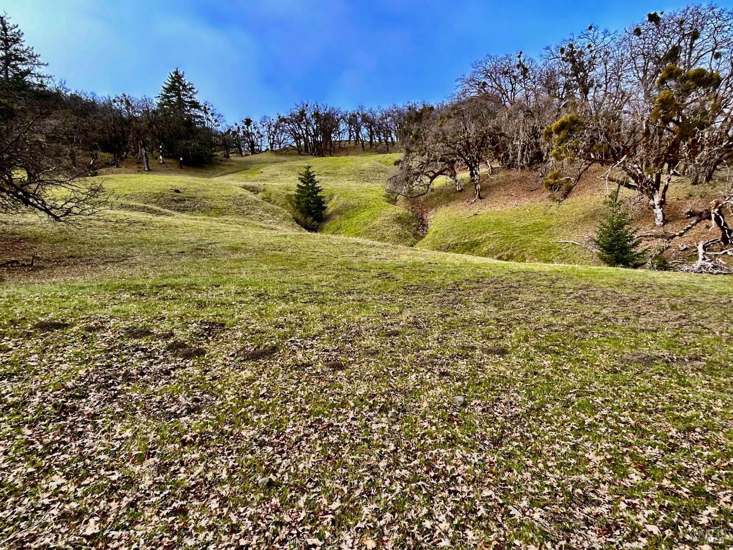 74000 Island Mountain Road Laytonville CA 95454