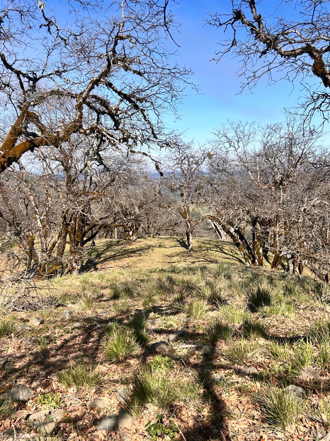 74000 Island Mountain Road Laytonville CA 95454