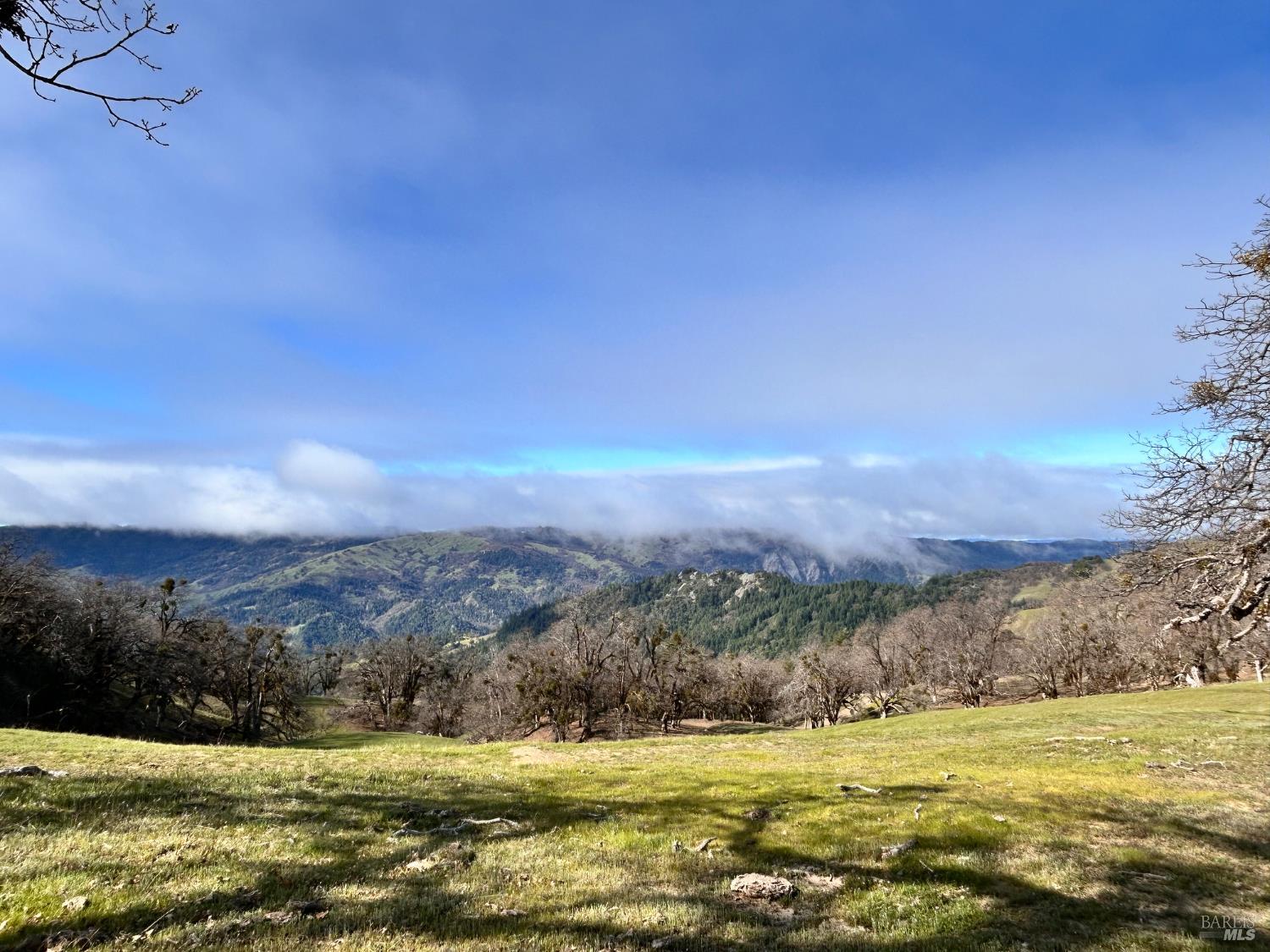 74000 Island Mountain Road Laytonville CA 95454