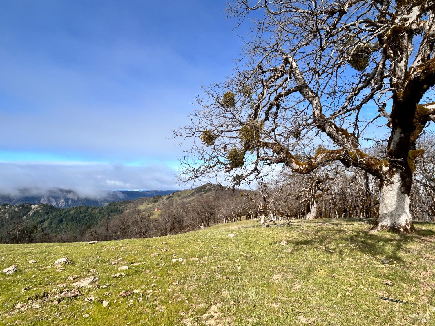 74000 Island Mountain Road Laytonville CA 95454