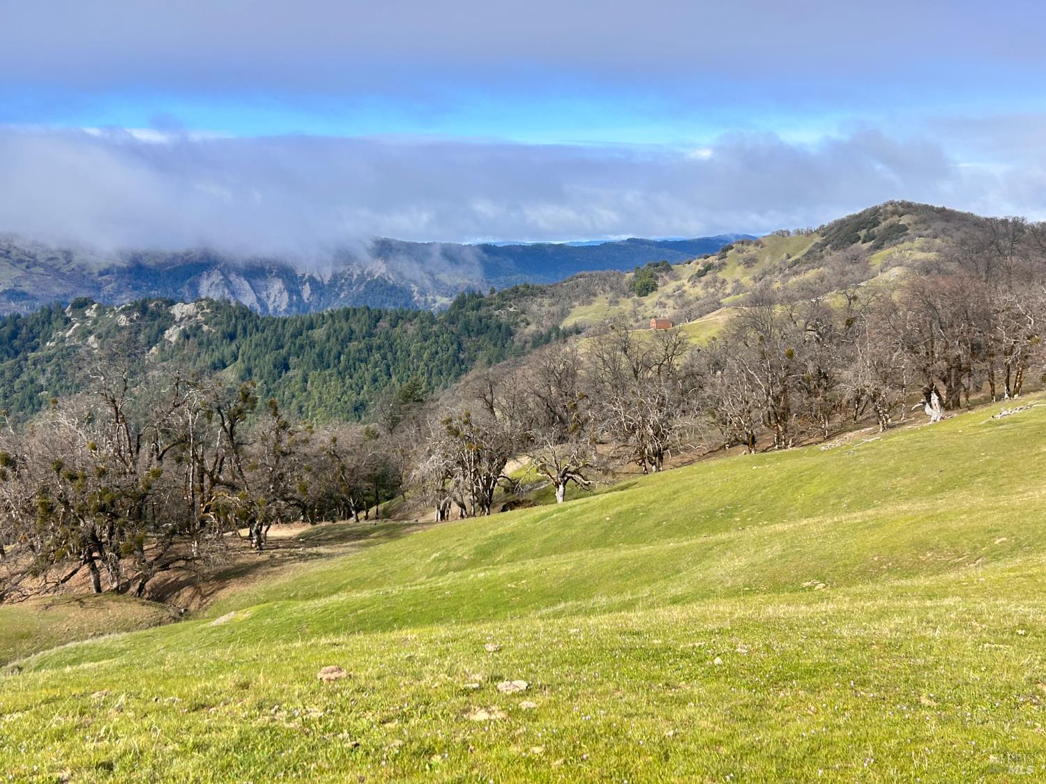 74000 Island Mountain Road Laytonville CA 95454