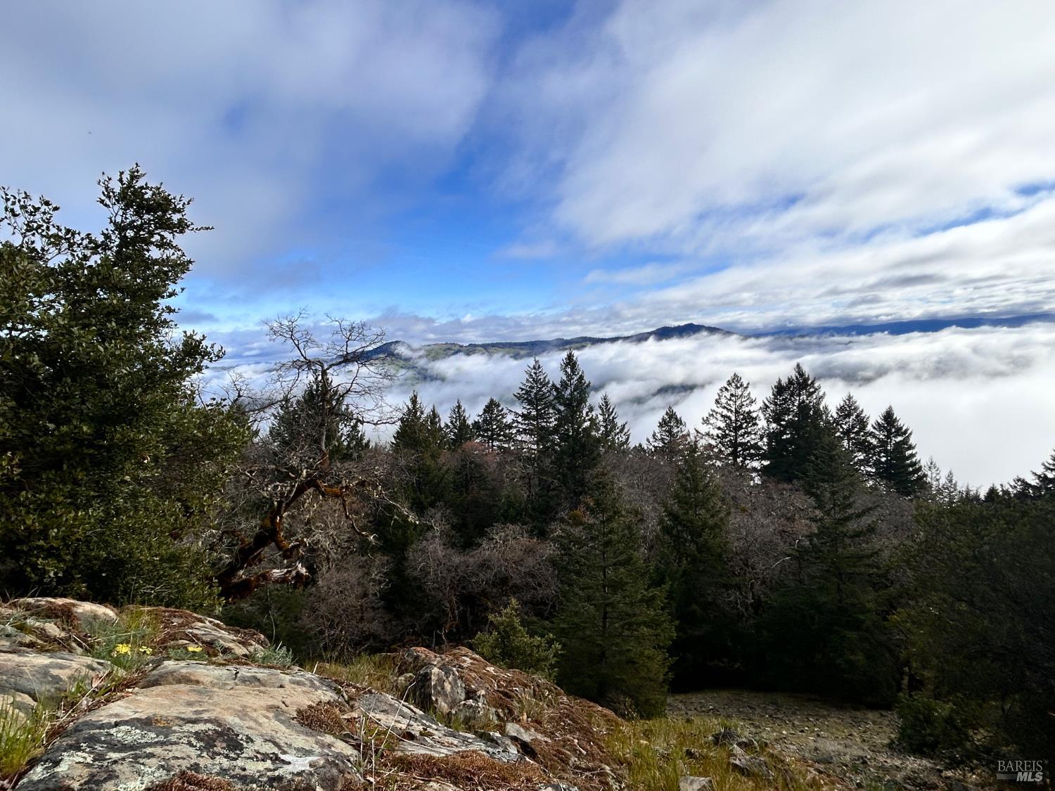 74000 Island Mountain Road Laytonville CA 95454