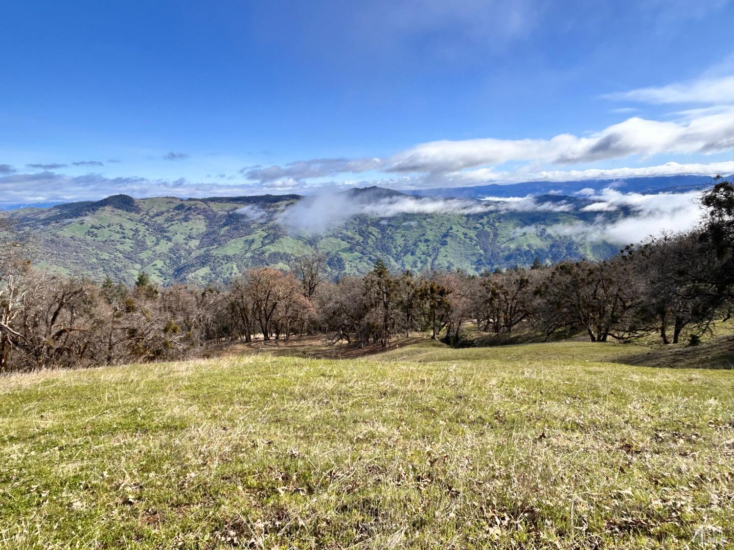 74000 Island Mountain Road Laytonville CA 95454