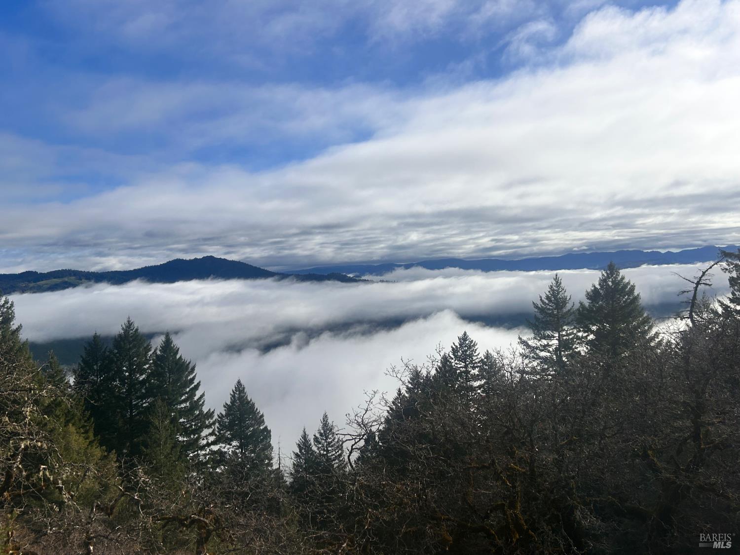 74000 Island Mountain Road Laytonville CA 95454