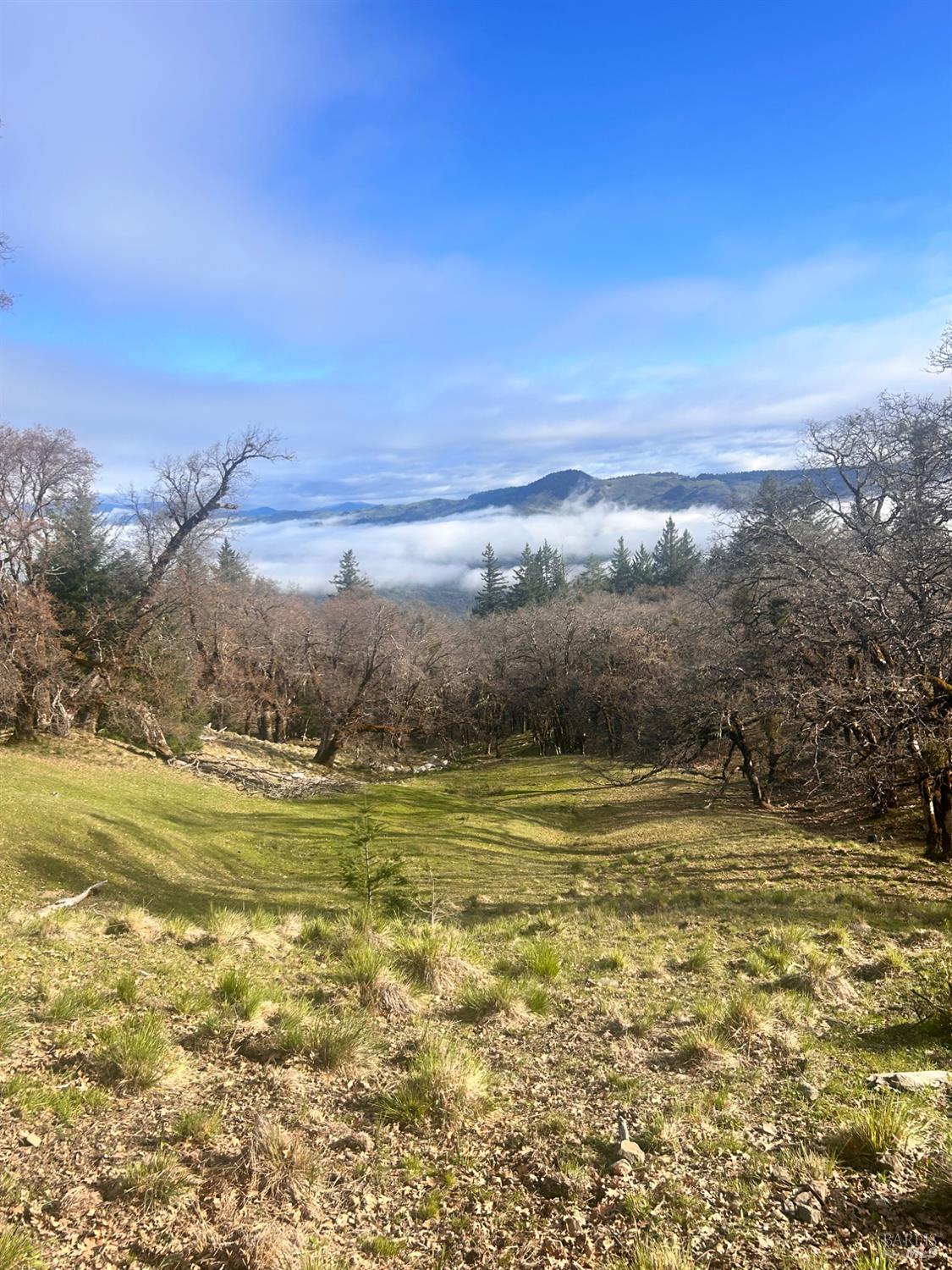 74000 Island Mountain Road Laytonville CA 95454