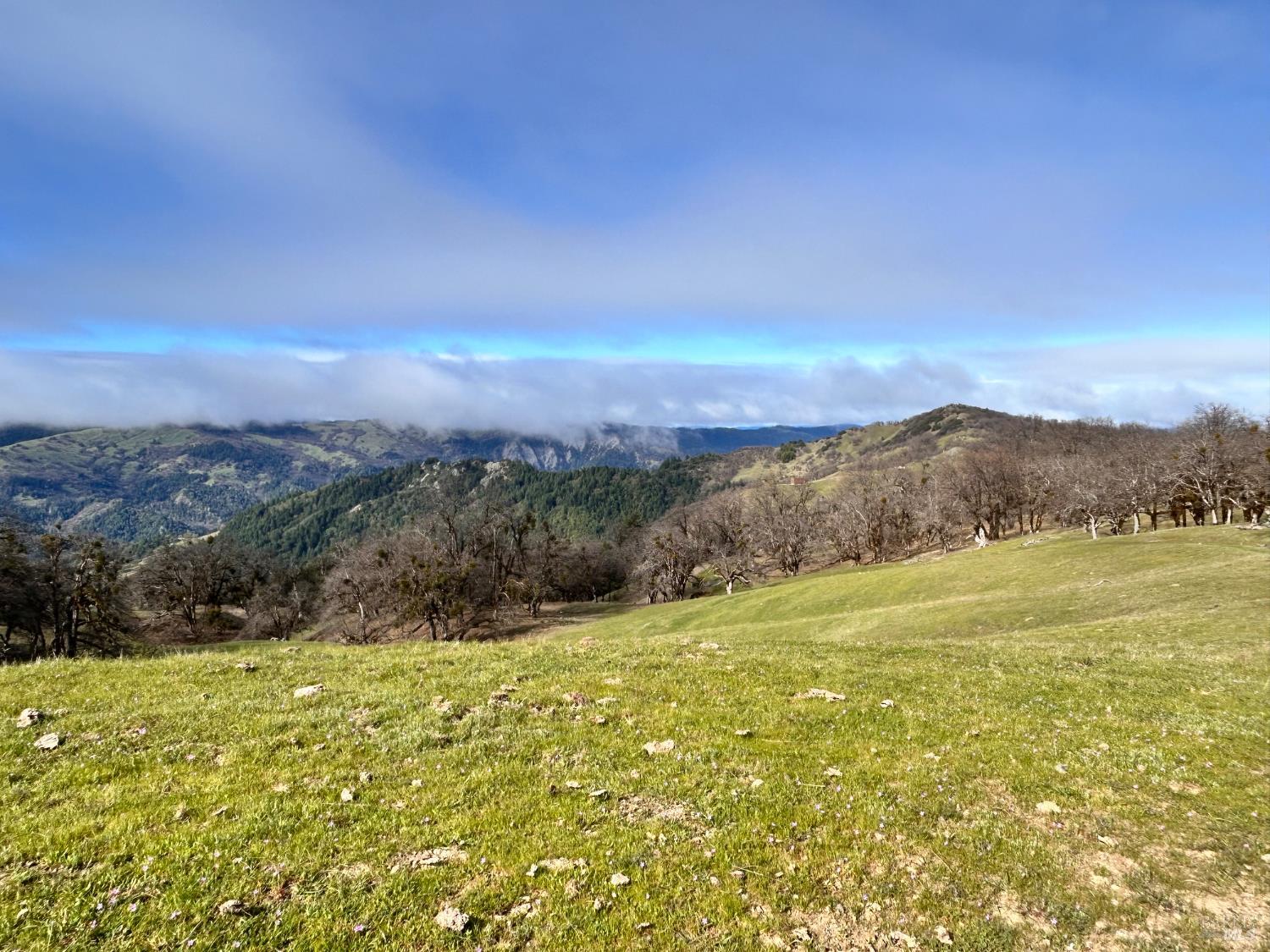 74000 Island Mountain Road Laytonville CA 95454