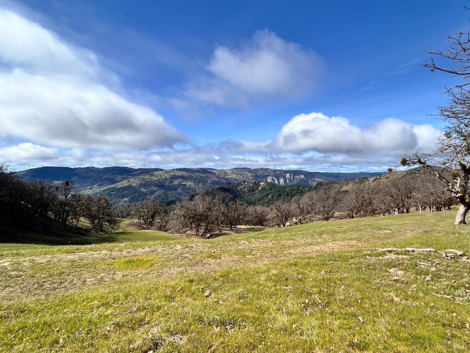 74000 Island Mountain Road Laytonville CA 95454