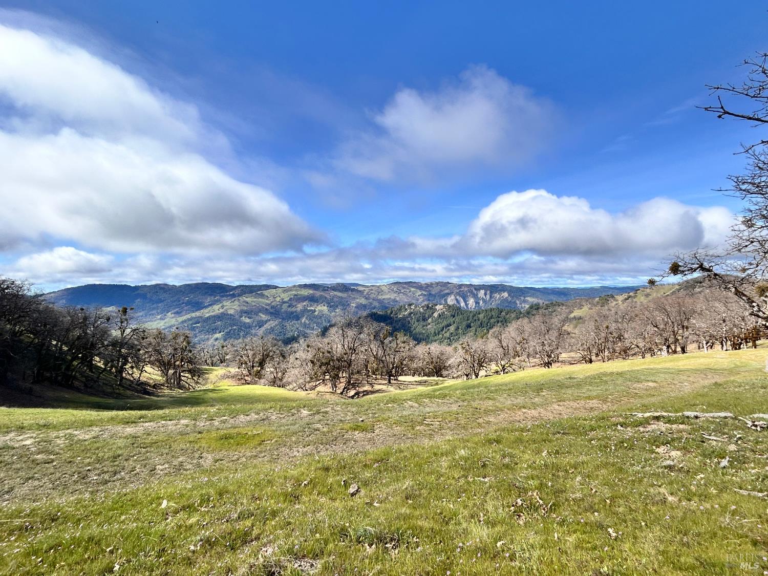 74000 Island Mountain Road Laytonville CA 95454