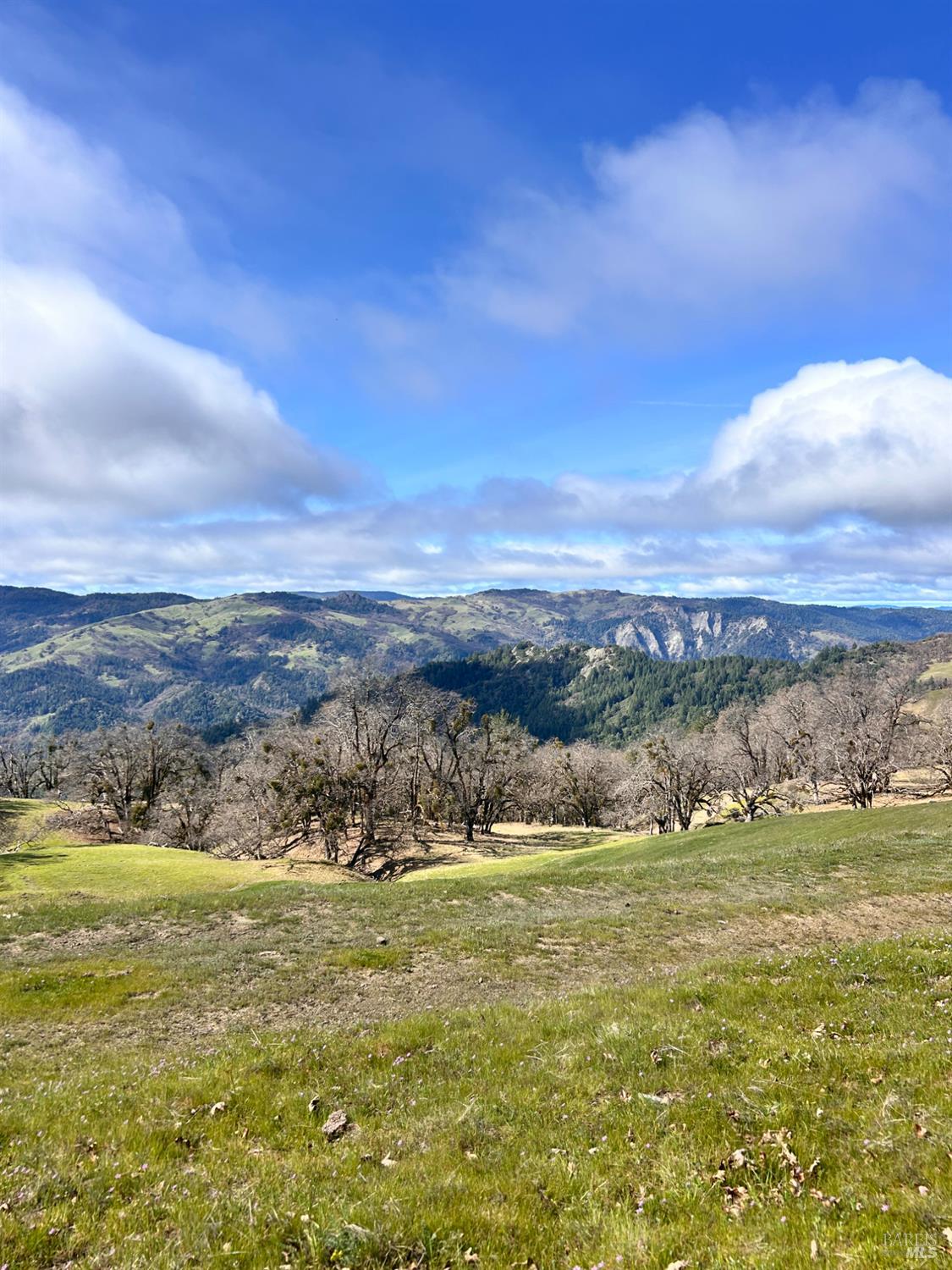 74000 Island Mountain Road Laytonville CA 95454