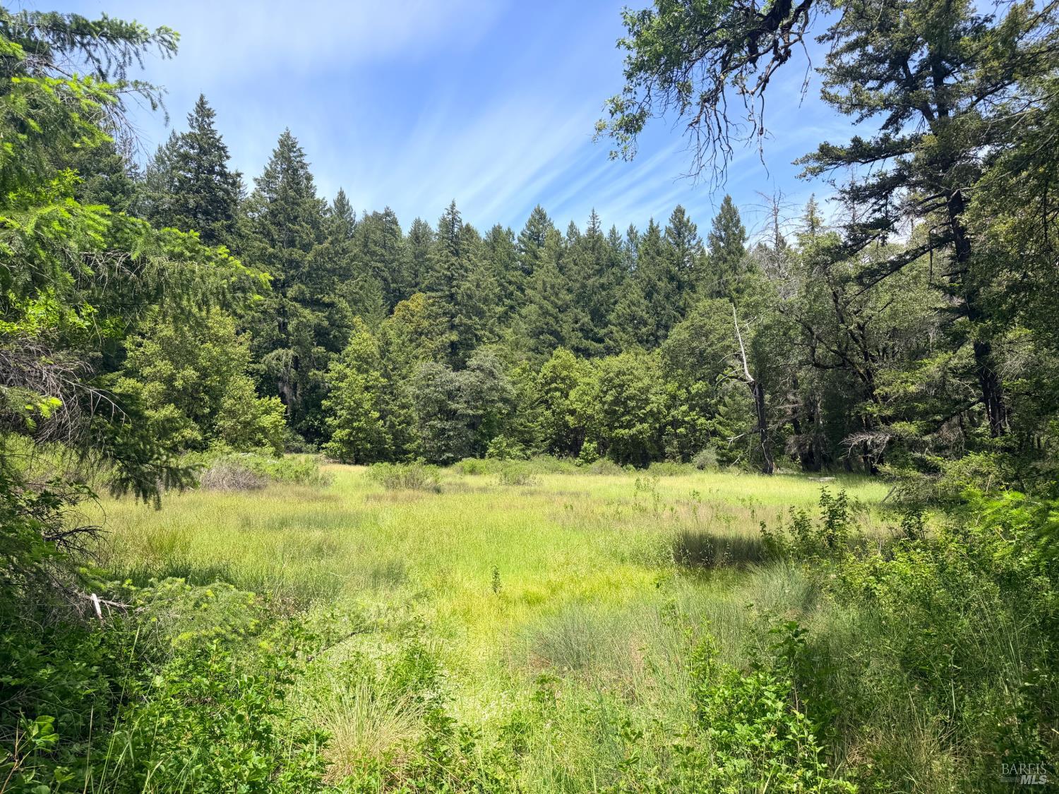0 Registered Guest Road Laytonville CA 95454